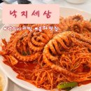 낙지세상 | 송파 맛집 낙지세상 방문 후기(주차, 가격, 추천 메뉴)