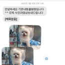 기운내 동물병원 이미지