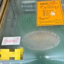 해락계절회전문점 | 부산진구 부전시장 회포장전문점 국민수산 내돈내산 회포장 후기