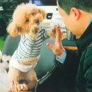 (주)네츄럴굿띵스 이미지