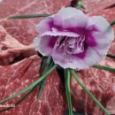 암소마당 이미지