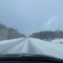 Torrance Barrens : 오로라 그거 진짜 있는 거예요? / 2박3일 오로라헌팅기