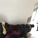 중동 행정복지센터 이미지