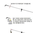 초리