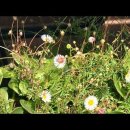 제이와이피 이미지