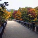 고향연가