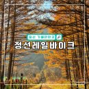 아우라지역 | 강원도 정선 가볼만한곳 정선레일바이크 소요시간 및 이용후기