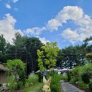 비석골화장실 이미지