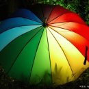 정치과기공소 이미지