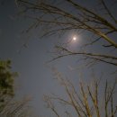 달빛풍경 이미지