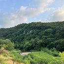 승전목전승지 이미지