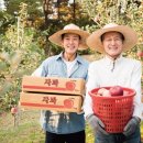 신용수산 이미지