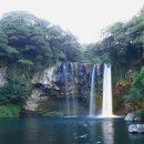 천지연폭포 이미지