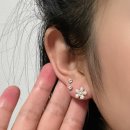 비크하우스 이미지