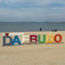 궁평항 어촌체험안내소 공중화장실 | 대부도 방아머리해변 조개 캐기 아기랑 여행 갈만한 곳 해수욕장 갯벌 체험 씻는 곳 주차장