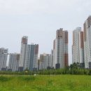 대림(e편한단지내)공인중개사사무소 이미지