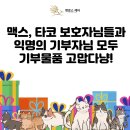 유기동물 보호소에 전달될 부산강아지장례 기부캠페인 물품 이미지