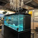 자란초교 건너편 이미지