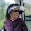 일광카 Daum카페