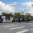 난지천2(잔디매점) 이미지