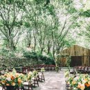 웨딩스위치 이미지