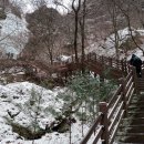 수원지민박 이미지