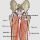 국가대표태권도 이미지