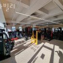 스타빌리 이미지