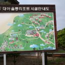 울릉도 산들바다 Daum카페