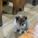 시골식당 이미지