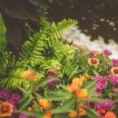 새 조형물 및 분수 이미지