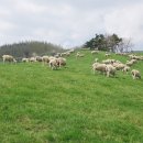 한옥목장 이미지