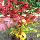 남천마을길 이미지