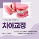 e가지런한치과의원 이미지