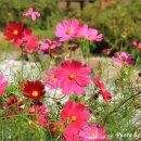 가향펜션 이미지