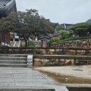 화엄사 | 구례 화엄사 방문 후기 맛집까지 완벽 코스