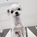 우장동물병원 이미지