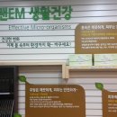 그린스토아 이미지