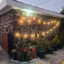 [제주 성산] 아늑한 제주 돌담 가성비 숙소 스테이수산 겨울 숙박 후기