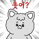 러블리 독 이미지