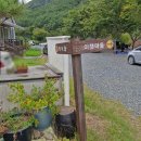 청도 힐링오토캠핑장 B사이트 후기 대구근교 키즈캠핑
