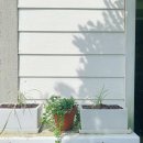 연하민박 이미지