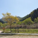 영화마을 이미지