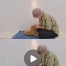 꼼꼼하개 이미지