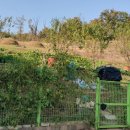 덕은상사 이미지