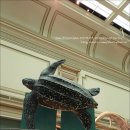 혜원동물병원 이미지