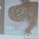 음성바다피시방 | 시즌3호 종강.(2025.6)