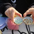 (주)골드팜 이미지