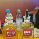 카사 쿠엘보 이미지