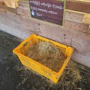 조준농장 이미지